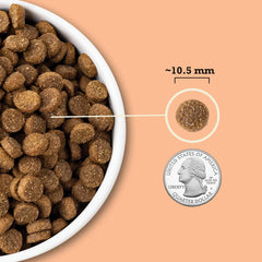 ACANA Wholesome Grains Dry Dog Food, Puppy Recipe, Real Chicken, Eggs and Turkey Dog Food Recipe