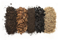 Galápagos Bioactive Soil