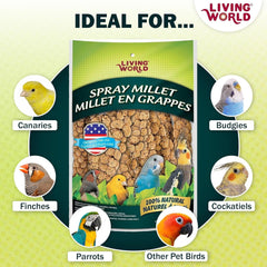Living World – Millet Spray for Birds, 5 Pounds – Premium Treat for Budgies, Canaries, Finches, Cockatiels and Other Pet Birds