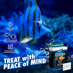 Fritz Maracyn - for Saltwater and Freshwater gram-Positive Relief from Bacterial gil, Popeye, More - Easy dose Packets