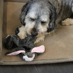 Skinneeez Tons-O-Squeakers Rabbit Dog Toy - with 19 Squeakers for Tons-O-Fun! Stuffing-Free Design is Great for Moderate Chewers, Tug Toy for Medium to Large Puppies & Dogs - 20in Color May Vary