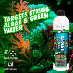 Fritz Aquatics Algae Clean Out - Algaecide for Fresh and Salt Water Aquariums