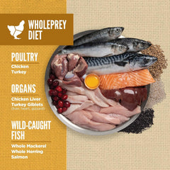ORIJEN Amazing Grains Puppy Dry Dog Food, High Protein Dog Food for Puppies, Fresh or Raw Ingredients