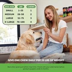 Pet Honesty Probiotics for Dogs, Dog Probiotics for Digestion Support, Digestive Enzymes Promotes Gut Health & Prebiotics for Immunity Health & Itch Relief, (Pumpkin 90 ct)