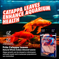 Fritz Catappa Leaves