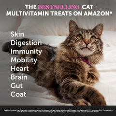 Pet Honesty Cat Multivitamin Chews - Cat Treats for Health + Immune, Cat Joint Support, Skin & Coat, and Digestion | Omega 3s, Lysine for Cats, Cat Probiotic, Cat Vitamins - Chicken (90-Day Supply)