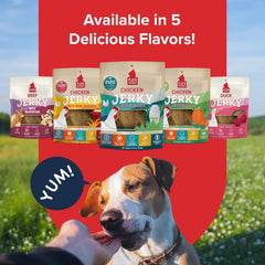 PLATO Pet Treats Dog Treats - Air-Dried Jerky - Delicious, Real Meat - Grain Free - Supports Healthy Digestion - Chicken with Goat Milk