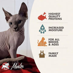 Fromm Four-Star Nutritionals Seafood & Shrimp Pate Cat Food - Premium Wet Cat Food - Salmon Recipe - Case of (12) 5.5 oz Cans