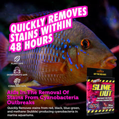 Fritz Aquatics Slime Out Treatment for Stains from Red Cyanobacteria in Fresh or Saltwater Aquariums