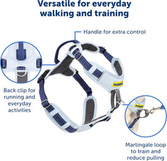 PetSafe Easy Walk Comfort No-Pull Dog Harness Full-Body Padding - Better Walks on The First Use - 5 Points of Adjustment , Blue