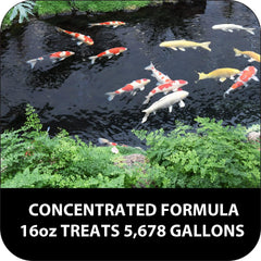 Fritz Aquatics Pond - Algae Clean Out Algaecide