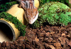 SuperMoss Galápagos (05024) Jurassic Fir Bark Bedding