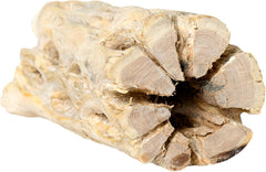 Galápagos (05271) Cholla Wood - Natural Aquarium & Terrarium Decoration for Fish Tanks, Reptile Tanks, and Bird Perches, Natural