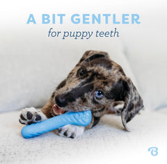 Benebone Puppy 2-Pack Rubber Bone/Wishbone Bacon Tiny