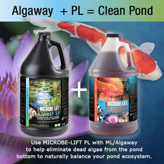 MICROBE-LIFT ALGA32 Algaway 5.4 Algae Control Treatment for Ponds and Water Gardens, Safe for Koi Fish, Goldfish, Plants, and Decorations