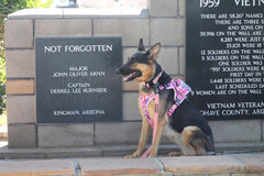 Boss Dog Tactical Molle Bag, Pink Camo