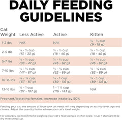Go! Solutions Digestion + Gut Health, Dry Cat Food, Salmon Recipe with Ancient Grains
