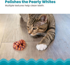 Petstages Catstages Plaque Away Pretzel Cat Toy – Interactive Catnip Dental Chew Toy to Help Clean Teeth, Fun for Play and Chewing, Orange