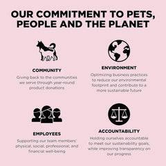 Go! Solutions Sensitivities Limited Ingredients, Grain-Free Dry Dog Food, Small Bites Salmon Recipe for Sensitive Stomach