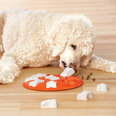 Nina Ottosson Dog Smart Treat Puzzle Enrichment Toy, Level 1 Beginner, Orange
