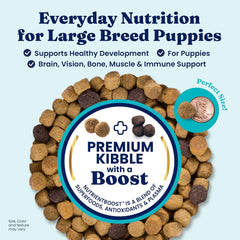 Solid Gold Large Breed Puppy Dog Food Dry Kibble - High Protein Dry Puppy Food for Large Breed Dogs w/Real Bison, Healthy Whole Grain & Probiotics for Gut Health & Digestion - Nutrientboost 22-lb