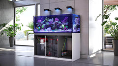 Red Sea Reef SPEC Aquarium Carbon  | Highly Activated Charcoal for Aquariums and Fish Tanks Freshwater Saltwater Marine