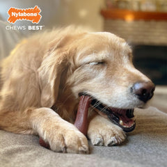 Nylabone Elk Bone Alternative Power Chew Toy for Dogs, Dog Toys for Aggressive Chewers, Venison Flavor, X-Large - 50+ lbs, 1 Count
