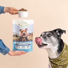Superfood Complete, Air-Dried Adult Dog Food - High Protein, Zero Fillers, Superfood Nutrition by Katherine Heigl (Premium Chicken)