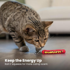 Petstages Catstages Green Magic Dynamite Stick Catnip Cat Toy