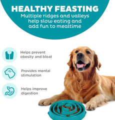 Outward Hound Fun Feeder Slo Bowl, Slow Feeder Dog Bowl, Large/Regular, Turquoise