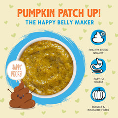 Weruva Pumpkin Patch Up! Pumpkin Pouches for Dogs & Cats (Pack of 12)