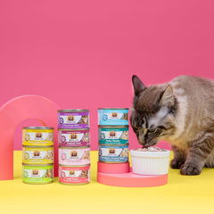 Weruva Classic Cat Food, Mideast Feast with Grilled Tilapia in Gravy