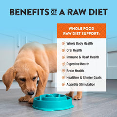 Northwest Naturals Freeze-Dried Chicken & Salmon Dog Food - Bite-Sized Nuggets - Grain-Free, High-Protein, Raw Diet, Human-Grade, Limited Ingredients, All Natural, Omega-3 for Skin & Coat