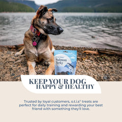 O.T.I.S. Wild Things Salmon Recipe Jerky for Dogs – 4 oz – Soft Treats with Wild-Caught Alaskan Salmon – Omega 3 DHA & EPA – GMO-Free – No Artificial Additives