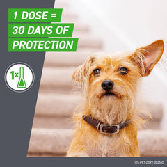 Frontline Plus Flea and Tick Treatment for Medium Dogs Up to 23 to 44 lbs. 3 Treatments