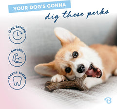 Benebone Puppy Maplestick Dog Chew Toy, Made in USA, Real Maple Wood Flavor, Small, Brown