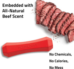 Playology Squeaky Chew Stick Dog Toy for Large to X-Large Dogs 50 lbs & up | Engaging All-Natural Beef Scented Chew Toy for Tough Chewers | Easy to Clean & Non-Toxic Materials