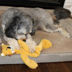 Skinneeez Tons-O-Squeakers Jungle Cat Dog Toy - 19 Squeakers for Tons-O-Fun! Stuffing-Free Design Perfect for Moderate Chewers, Tug Toy for Medium to Large Puppies & Dogs - 20in, Style May Vary