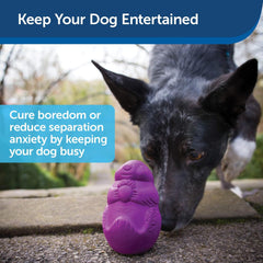 PetSafe Busy Buddy Squirrel Dude Dog Toy - Treat Dispensing Toy – Large
