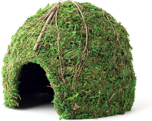 Galápagos Mossy Dome Hide, Vined