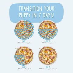 Weruva Puppy, Chicken Formula in Gravy (Pack of 10)