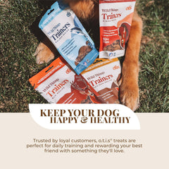 O.T.I.S. Wild Things Trainers Venison Recipe – 4 oz – Bite-Size Dog Training Treats with DHA, Ashwagandha & L-Theanine – GMO-Free – No Hormones or Additives