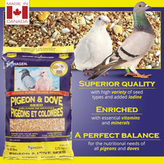 Hagen Pigeon & Dove Seed, Original Formula Bird Food, 6 lb Bag – Nutritionally Complete Seed Mix with Vitamins & Minerals – Wild & Captive Bird Diet – Insect-Resistant Air-Tight Packaging