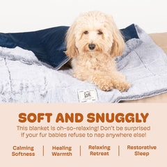 Dog Gone Smart Chilli Kuzzi FIR Blanket - Velvet Velboa and Tipped PV Plush - Ultra-Soft Dog Blanket with Far Infrared Technology - Calms, Relaxes and Heals - Suitable for Every Dog - Grey