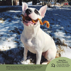 Redbarn Bully Springs for Dogs 1 ea