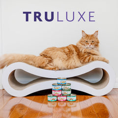 Weruva Truluxe Cat Food, On The Cat Wok with Chicken Breast & Beef in Pumpkin Soup 3-oz Can(Pack of 24)