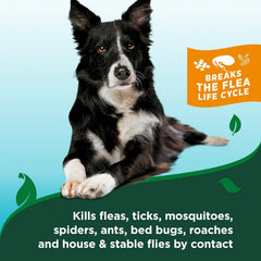 Vet’s Best Natural Flea & Tick Dog Shampoo – Plant-Based Formula with Cotton Spice Scent – Natural Dog Shampoo with Essential Oils for Flea and Tick Support – Made in USA – 12 oz Bottle