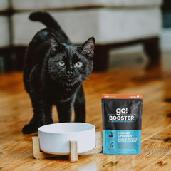 Go! Solutions Booster Digestive Health, Grain-Free Wet Cat Food Topper , 2.5 oz Pouch