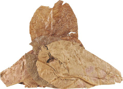 Fluker's Hermit Headquarters Hermit Crab CATAPPA Leaves