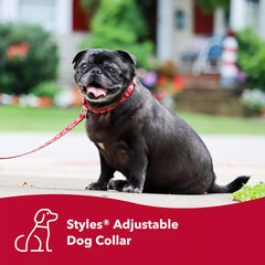 Coastal Pet - Styles - Adjustable Dog Collar, Resolve